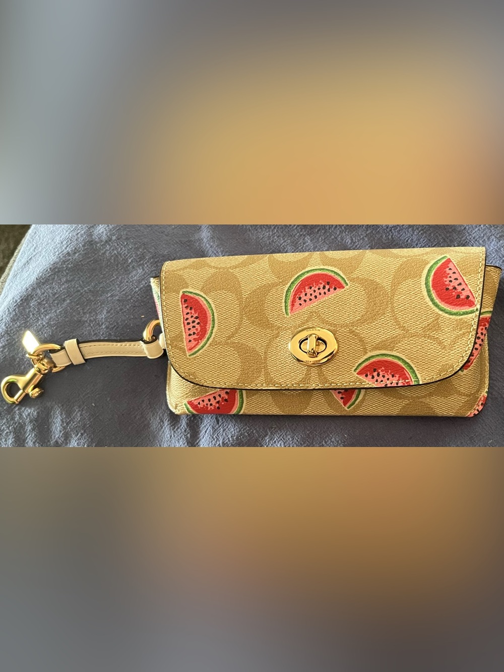 Coach Canvas Watermelon Print Sunglasses Case w/ Coach glasses frames